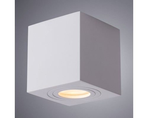 Потолочный светильник уличный Galopin A1461PL-1WH Arte Lamp
