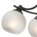 Потолочная люстра  V2564-1/4PL Vitaluce