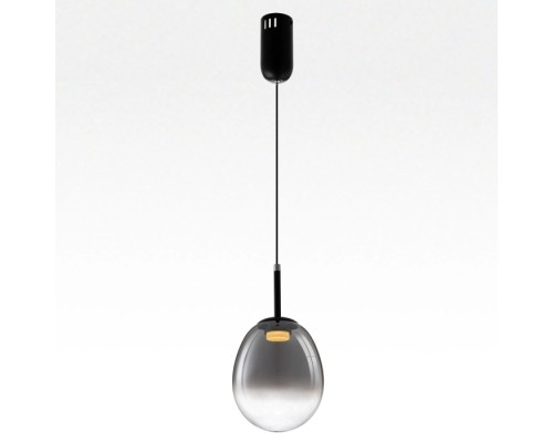 Подвесной светильник Signature CL247021 Citilux