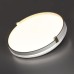Настенно-потолочный светильник Olidi White 7646/DLN Sonex