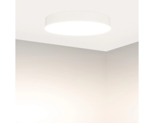 Потолочный светильник SP-FLOWER 049803 Arlight