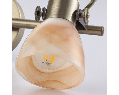 Спот Tulip A9581AP-2AB Arte Lamp