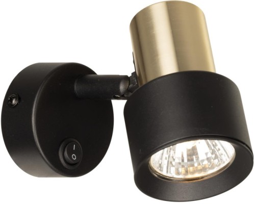 Спот Sat CL505611 Citilux