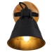 Спот G?nther 15466S-1 Globo