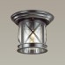 Потолочный светильник уличный Sation 4045/1C Odeon Light