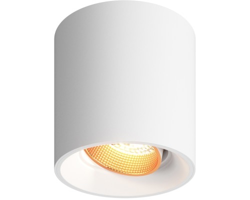 Точечный светильник Rodvig DK3090-WBR Denkirs
