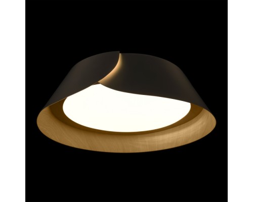 Потолочный светильник Lane 10370 Black Loft It