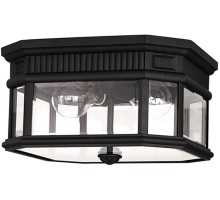 Потолочный светильник уличный Cotswold Lane FE-COTSLN-F-BK Feiss