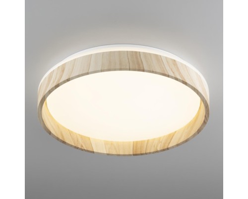 Потолочный светильник Enzo CL753352G Citilux