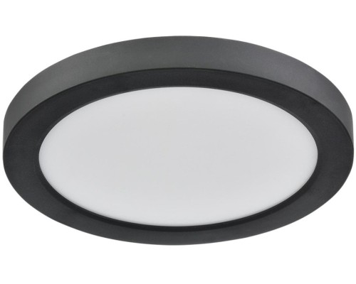 Потолочный светильник Nebula Black 7788/12L Sonex
