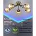 Потолочная люстра Narva 66716.01.86.05 Wedo Light