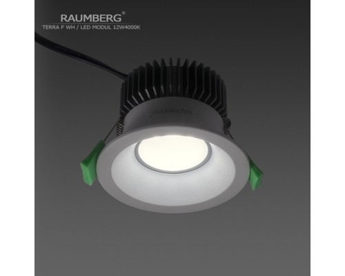 Точечный светильник Terra F TerraF\Wh\12W4000K Raumberg