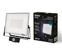 Прожектор уличный PROFI 53424 6 Ritter
