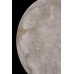 Настенный светильник Luminosa FL1020-1WH Fluorite