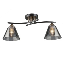 Потолочная люстра Dorika WD3636/2C-CF-FGD-SMK Wedo Light