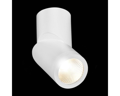 Точечный светильник ST650 ST650.532.10 ST Luce