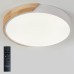 Потолочный светильник Scandinavian LED LAMPS 81181 Natali Kovaltseva