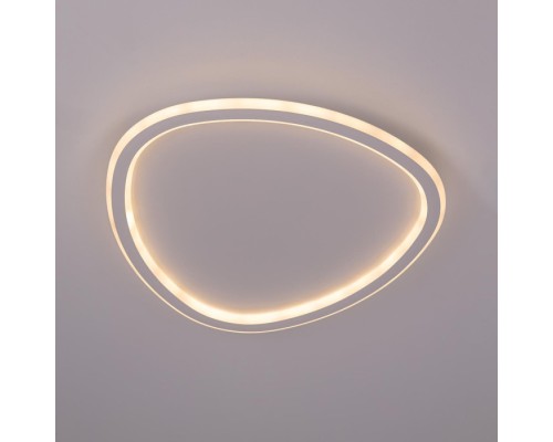 Потолочный светильник Тrio CL215B240E Citilux