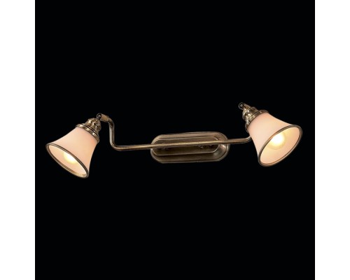 Спот Прованс CL511523 Citilux