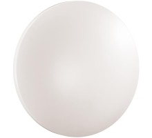 Настенно-потолочный светильник Simple 3017/DL Sonex