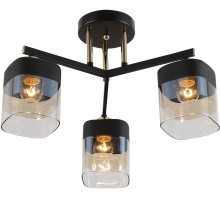 Потолочная люстра Isadora 9133-303 Rivoli