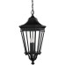 Уличный светильник подвесной Cotswold Lane FE-COTSLN8-L-BK Feiss
