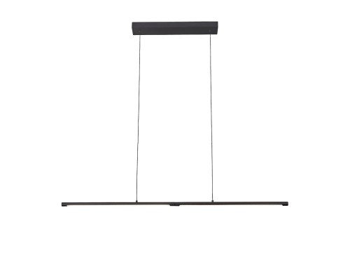 Подвесной светильник Ralio SL1580.403.01 ST Luce