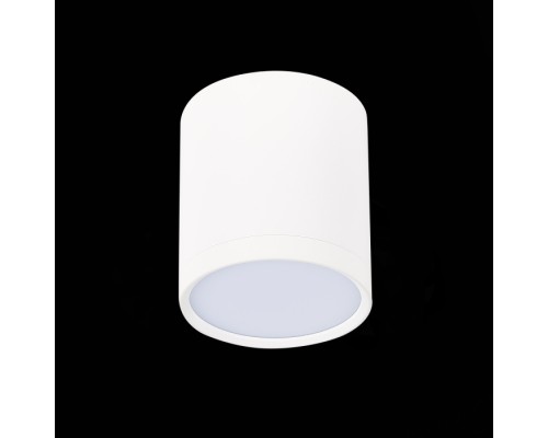 Точечный светильник Rene ST113.532.05 ST Luce