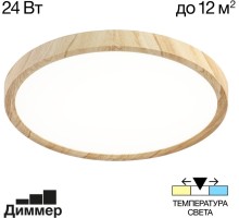 Настенно-потолочный светильник Бейсик CL738242V Citilux