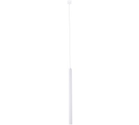 Трековый светильник Unika 4160-1P Favourite