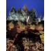 Наземный светильник  LD-RD003 LD-Lighting