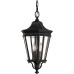 Уличный светильник подвесной Cotswold Lane FE-COTSLN8-M-BK Feiss