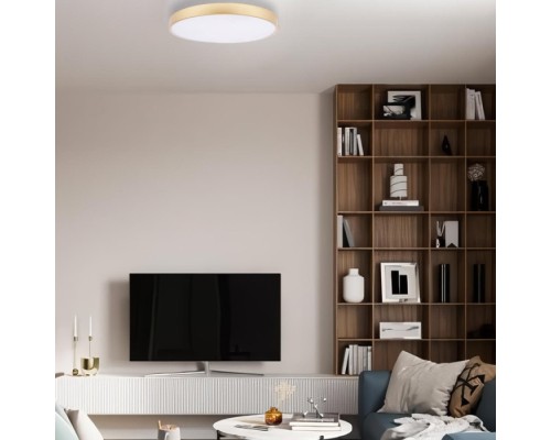 Потолочный светильник Flims 10228/B Loft It