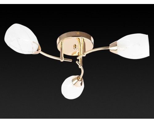 Потолочная люстра Lucy TL7120X-03FG TopLight