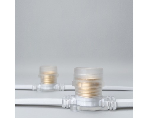 Гирлянда Белт-Лайт BL10m/10L-8-P Laitcom