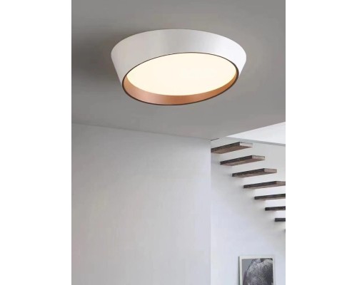 Потолочный светильник  F0724-43 Alfa Light