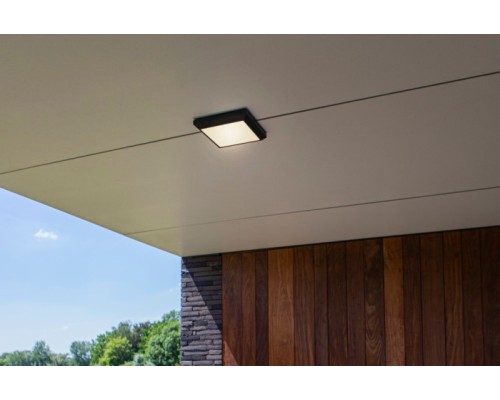 Потолочный светильник уличный SIDNEY LED W1021 Gr Oasis Light
