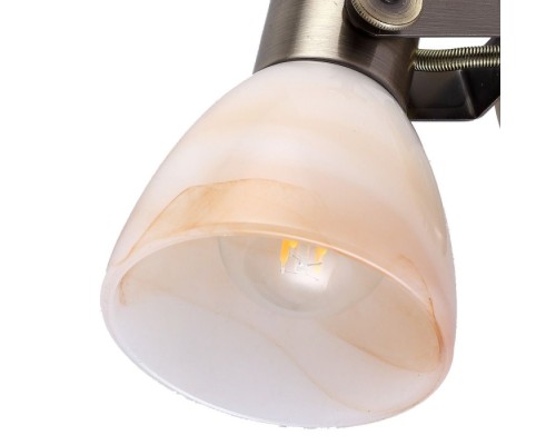 Спот Tulip A9581AP-1AB Arte Lamp