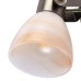 Спот Tulip A9581AP-1AB Arte Lamp
