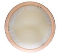 Настенно-потолочный светильник Ginger TL9620Y-00PN TopLight