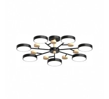 Потолочная люстра LED4U L3205-800 BK LED4U