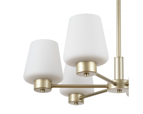 Подвесная люстра Mark MR2341-6P MyFar
