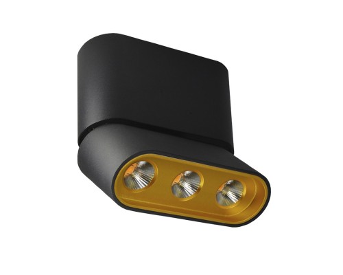 Спот Фергус 8005/3CS-BK-GD Lumien Hall