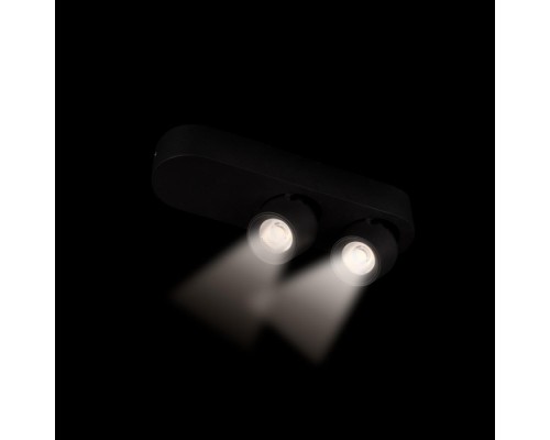 Спот Quiet 10320/2 Black Loft It