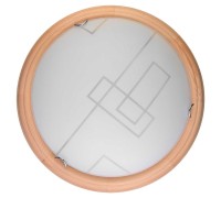 Настенно-потолочный светильник Debora TL9540Y-00PN TopLight