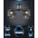 Потолочная люстра Sildzh WD3638/4C-BK-CR-BK Wedo Light