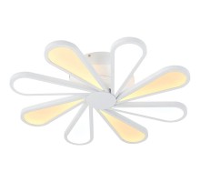 Потолочная люстра Miracoli Miracoli 201.8 LED Lucia Tucci