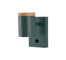 Спот Asheswood V11294-1W Moderli