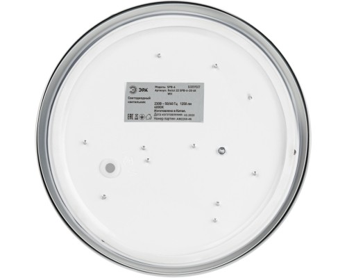 Потолочный светильник  Relict 22 SPB-6-20 4К WH ЭРА