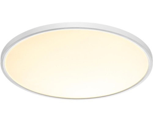 Настенно-потолочный светильник Alfa White 7659/48L Sonex